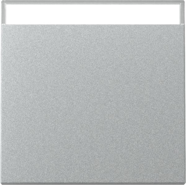 Gira 329926 Wippe BSF System 55 F Alu