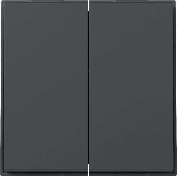Gira 349567 Wippe 2f gerade Gira TX_44 Anthrazit