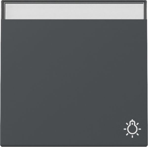 Gira 367328 Wippe Symb. Klingel + BSF System 55 Anthrazit