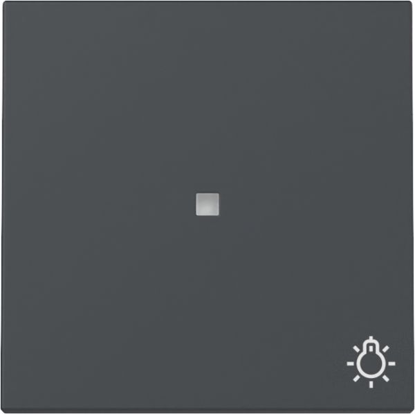 Gira 367428 Wippe Kontrollf. + Symb. Licht System 55 Anthrazit
