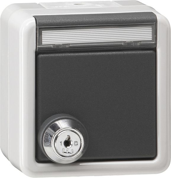 Gira 456930 SCHUKO-Steckd. KD Schloss gleich + BSF WG AP Grau