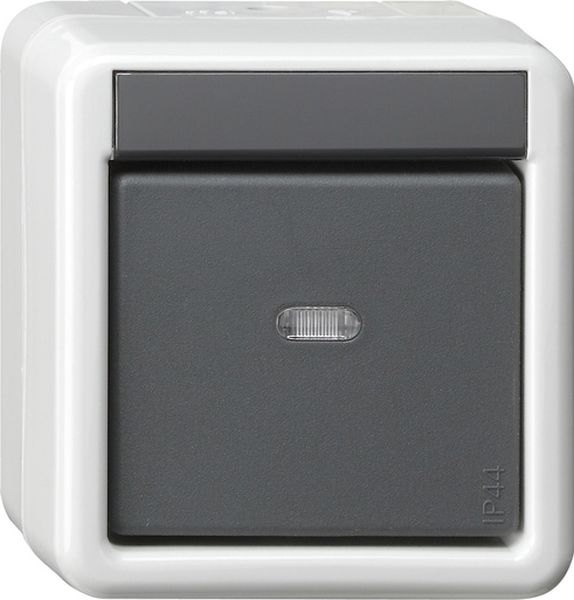 Gira 515230 Taster-BA 1f Kontrollf. + 2-Punkt KNX WG AP Grau