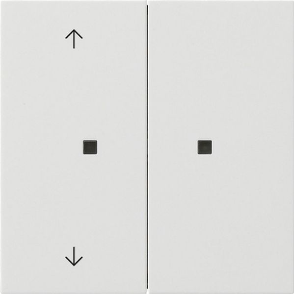 Gira 5175112 Taster Wippe 2f unbedruckt/Pfeile OneKNX Flächenschalter Reinweiß