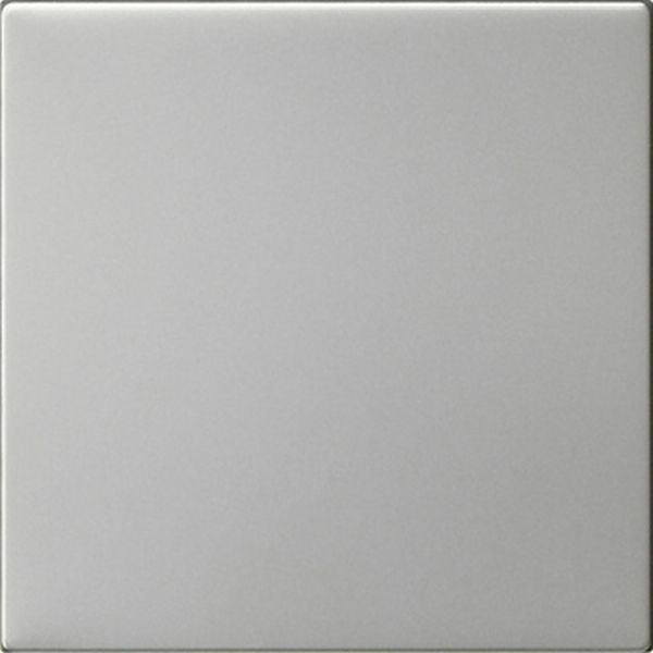 Gira 5360600 S3000 Bedienaufs. System 55 Edelstahl