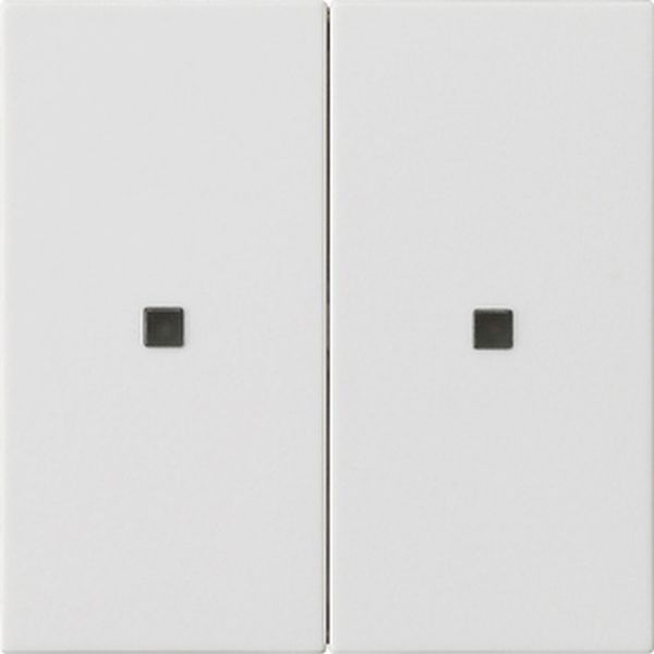 Gira 536927 Wippe 2f unbedruckt Kontrollf. System 55 Reinweiß m
