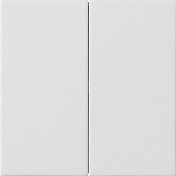 Gira 537027 Wippe 2f unbedruckt System 55 Reinweiß m