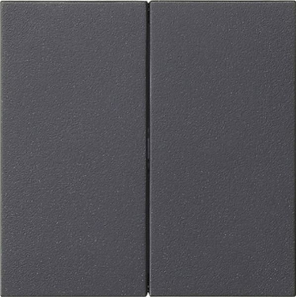 Gira 537028 Wippe 2f unbedruckt System 55 Anthrazit