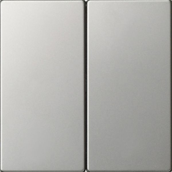 Gira 5370600 Wippe 2f unbedruckt System 55 Edelstahl
