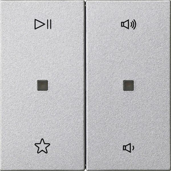 Gira 538426 Wippe 2f Audiostrg System 55 F Alu