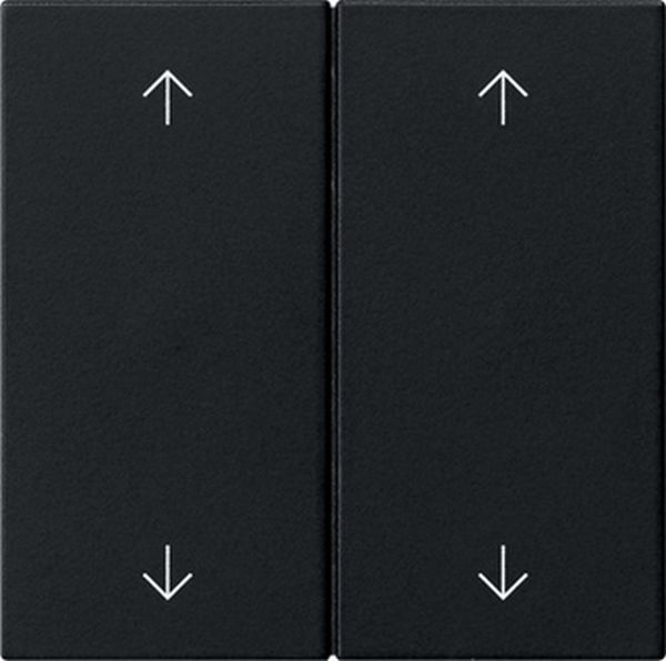 Gira 5387005 Wippe 2f Pfeile System 55 Schwarz m