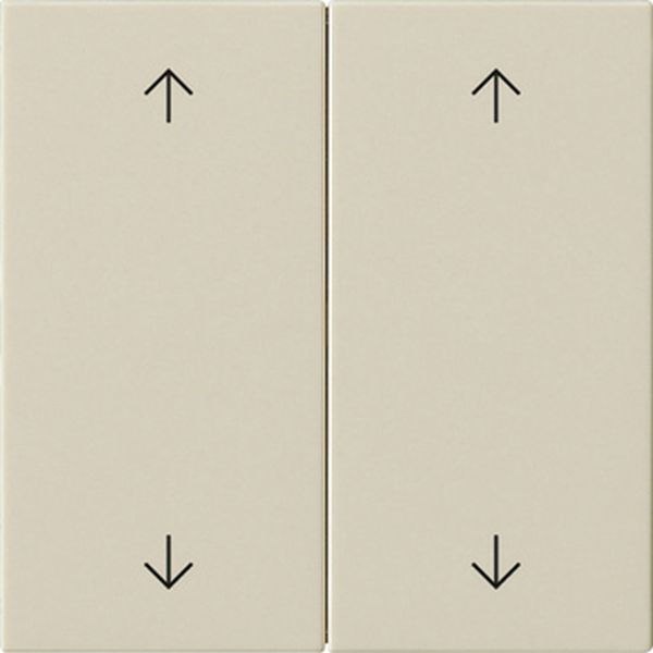 Gira 538701 Wippe 2f Pfeile System 55 Cremeweiß