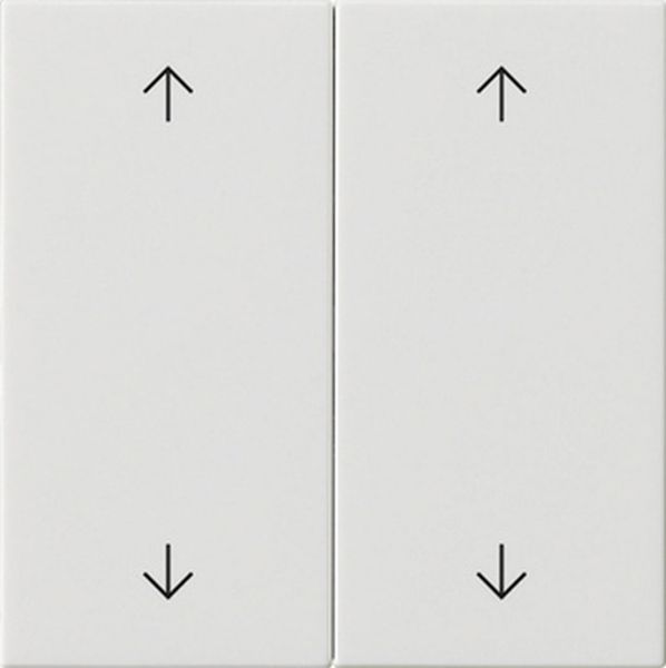 Gira 538703 Wippe 2f Pfeile System 55 Reinweiß