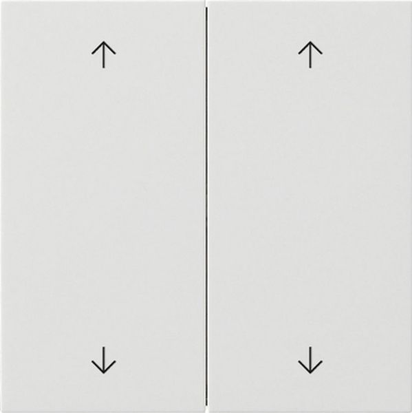Gira 5387112 Wippe 2f Pfeile Flächenschalter Reinweiß
