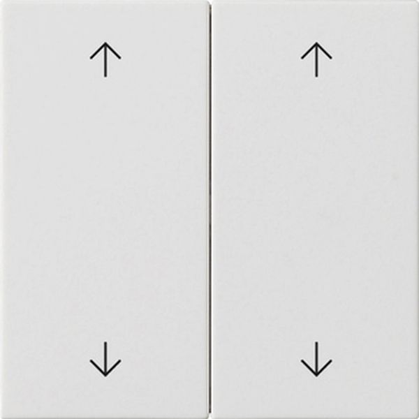 Gira 538727 Wippe 2f Pfeile System 55 Reinweiß m