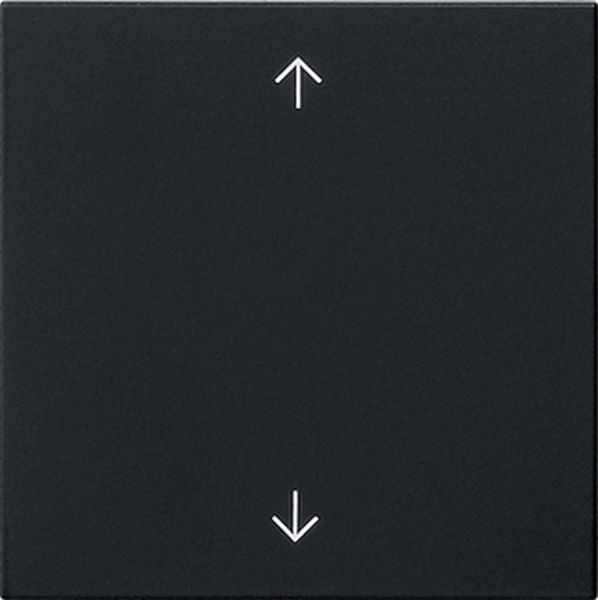 Gira 5389005 Wippe 1f Pfeile System 55 Schwarz m