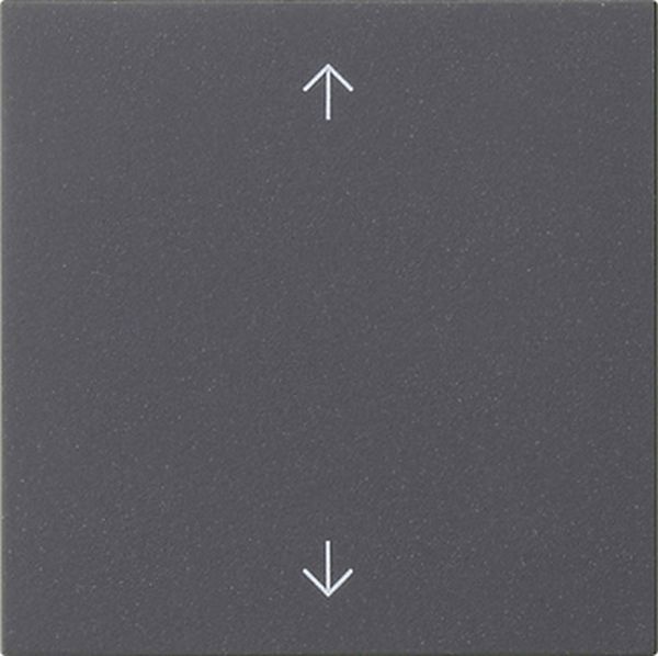 Gira 538928 Wippe 1f Pfeile System 55 Anthrazit
