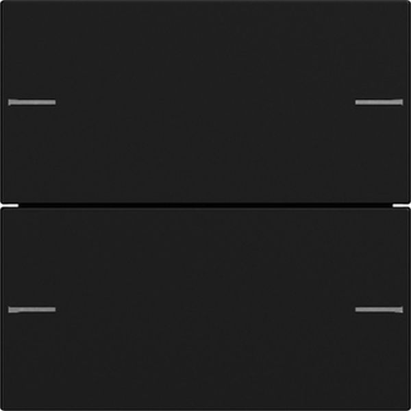 Gira 5752005 Wippenset 2f Tastsens.4.55 Schwarz m