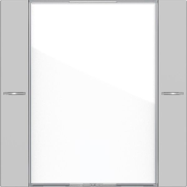 Gira 5771015 Wippenset 1f BSF Tastsens.4.55 Klar/Grau m