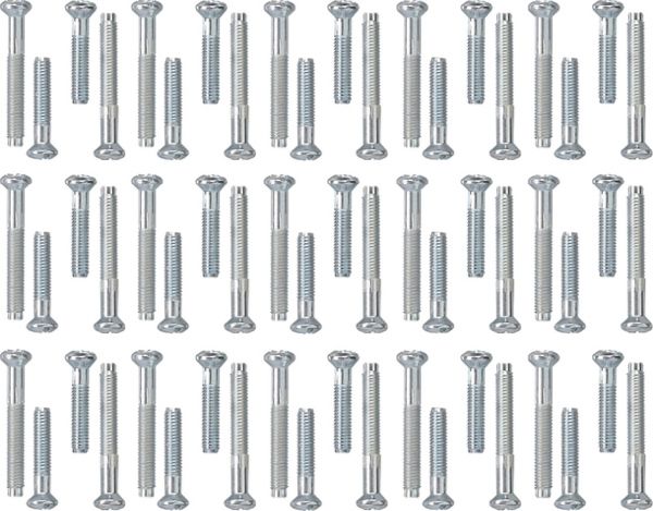 Gira 818200 Schraubenset Koaxial-Steckd. 30x 2 Stck. System 55