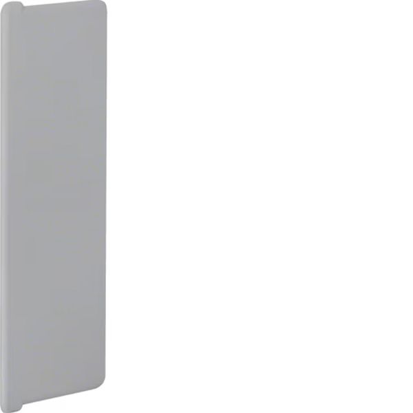 Hager B4012047030 Endstück aus PVC zu Verdrahtungskanal BA6 40x120mm steingrau