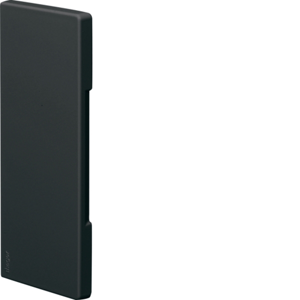 Hager BR6517069011 Endstück schnittkaschierend zu BR/H/N/A 68x170mm Oberteil 80mm halogenfrei graphitschwarz