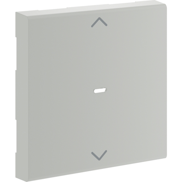 Hager GW1AC7035 Wippe 1-fach Pfeile für Tastsensormodul für Rahmenblende 55 halogenfrei lichtgrau