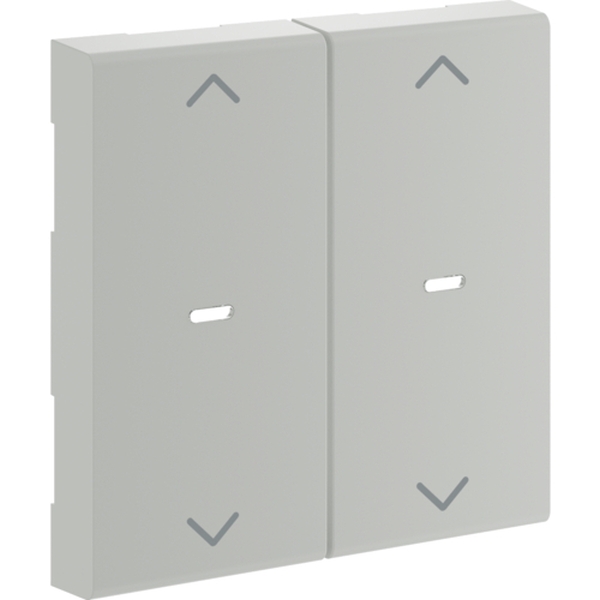 Hager GW2AC7035 Wippe 2-fach Pfeil für Tastsensormodul für Rahmenblende 55 halogenfrei lichtgrau
