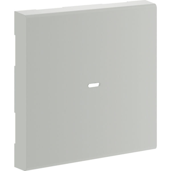 Hager GW2C7035 Wippe 2-fach Linse für Tastsensormodul für Rahmenblende 55 halogenfrei lichtgrau