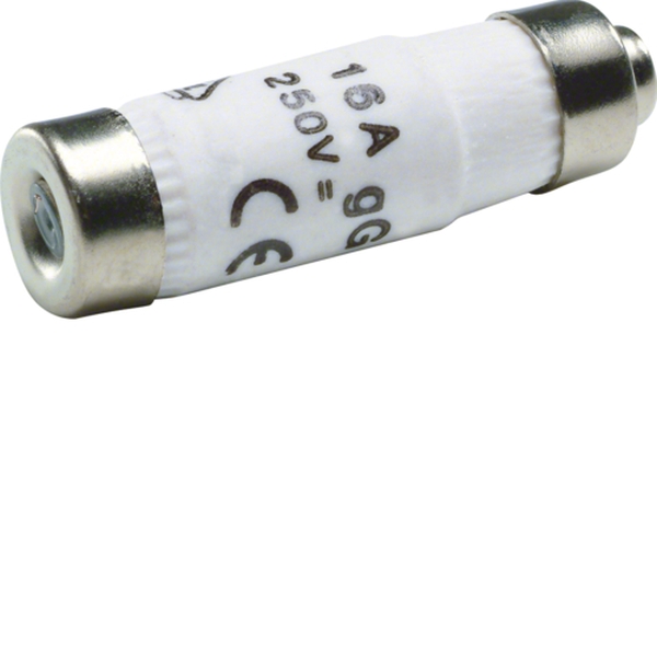 Hager LE1416 Sicherungseinsatz D01 E14 16A 400V gG mit Kennmelder 10 Stück