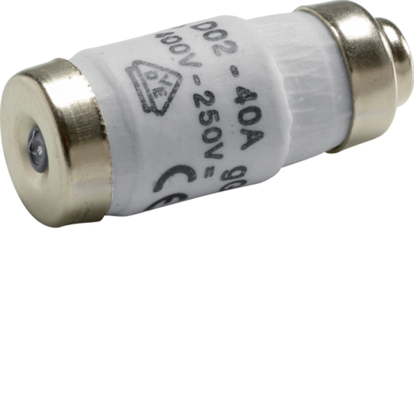 Hager LE1840 Sicherungseinsatz D02 E18 40A 400V gG mit Kennmelder Nennspannung 400V 250V 10 Stück