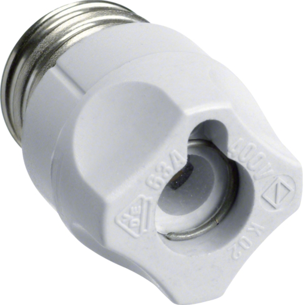 Hager LE18SI Schraubkappe D02 E18 aus Kunststoff mit Prüfloch 63A Typ K02,