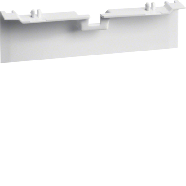 Hager SL20080A9016 Geräteträgerschürze für Geräteträger zu SL 20x80mm verkehrsweiß