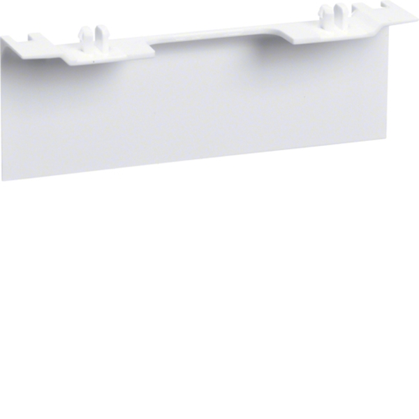 Hager SL20080AC9016 Geräteträgerschürze für Geräteträger universal design SL 20x80mm verkehrsweiß