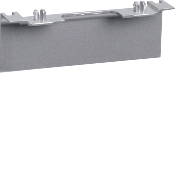 Hager SL20080ACD1 Geräteträgerschürze für Geräteträger universal design SL 20x80mm Dekor Aluminium