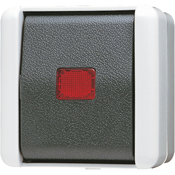 Jung 834W Taster 1-polig Schließer mit separaten Meldekontakten 10A 250V IP44 WG 800