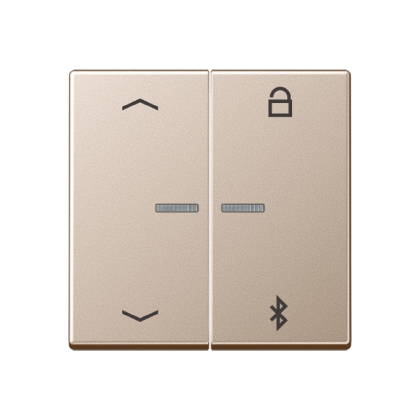 Jung A1751PBTCH LB-ManagementTimer Universal Bluetooth® "Pfeile" Duroplast lackiert Serie A champagner