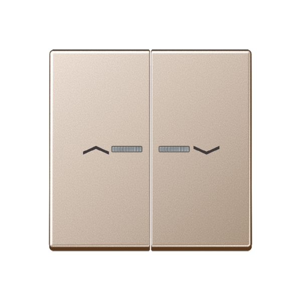Jung A595KO5PCH Wippe 2-fach mit Lichtleiter mit Pfeilsymbolen Serie A champagner