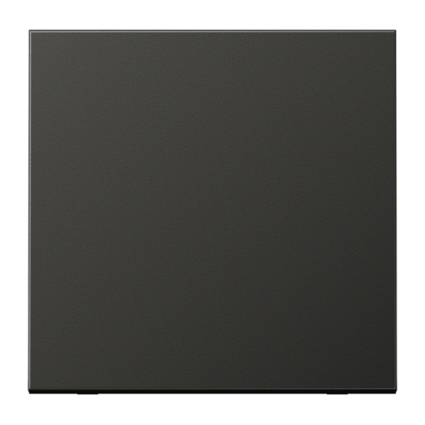 Jung AL1700AN LB-Management Taster 1-fach neutral Aluminium lackiert Serie LS anthrazit (lackiertes Aluminium)