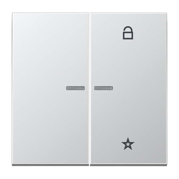 Jung AL1701 Steuertaste Universal Aluminium AlMg1 Naturton mattgebeizt Serie LS Aluminium