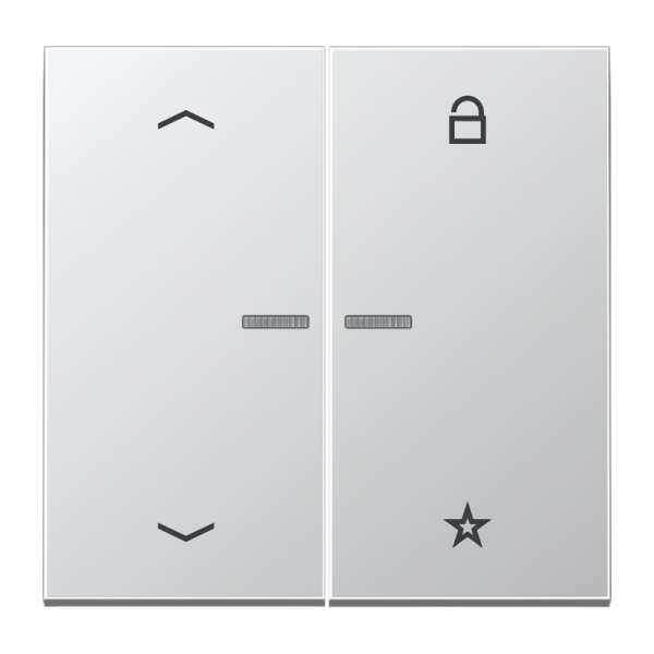 Jung AL1701P Steuertaste Universal mit Pfeilsymbolen Aluminium AlMg1 Naturton mattgebeizt Serie LS Aluminium
