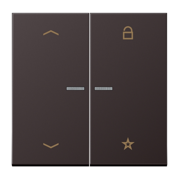 Jung AL1701PD Steuertaste Universal mit Pfeilsymbolen Aluminium lackiert Serie LS dark (lackiertes Aluminium)