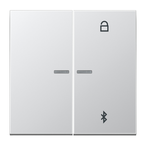 Jung AL1751BT LB-ManagementTimer Universal Bluetooth® Aluminium AlMg1 Naturton mattgebeizt Serie LS Aluminium
