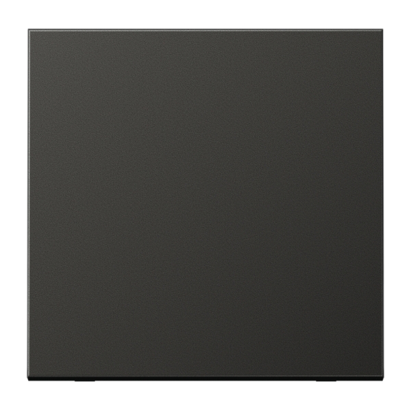 Jung AL2990AN Wippe Aluminium lackiert Serie LS anthrazit (lackiertes Aluminium)