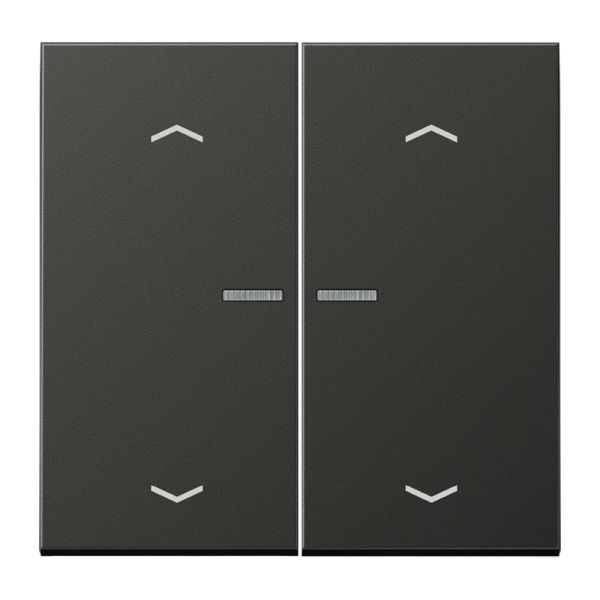 Jung AL2995KO5MPAN Wippe 2-fach mit Lichtleiter mit 4 Pfeilsymbolen Aluminium lackiert Serie LS anthrazit (lackiertes Aluminium)