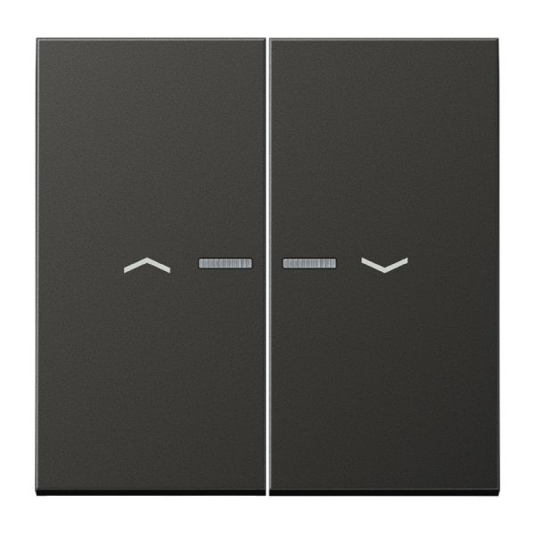 Jung AL2995KO5PAN Wippe 2-fach mit Lichtleiter mit Pfeilsymbolen Aluminium lackiert Serie LS anthrazit (lackiertes Aluminium)