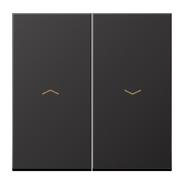 Jung AL2995PD Wippe 2-fach mit Pfeilsymbolen Aluminium lackiert Serie LS dark (lackiertes Aluminium)