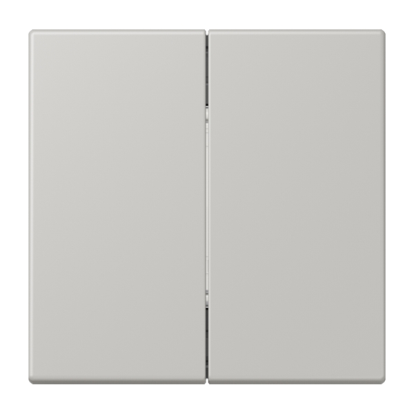 Jung BLELC995205 Bluetooth® Low Energy Funk-Wandsender 4-kanalig Serie LS gris clair 31