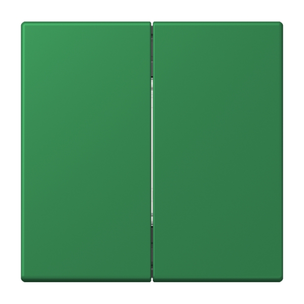 Jung BLELC995219 Bluetooth® Low Energy Funk-Wandsender 4-kanalig Serie LS vert foncé