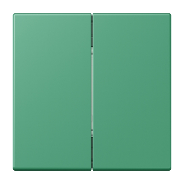 Jung BLELC995250 Bluetooth® Low Energy Funk-Wandsender 4-kanalig Serie LS vert 59