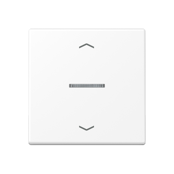 Jung BTA17101PWWM JUNG HOME Taster 1-fach mit Pfeilsymbolen Thermoplast lackiert Serie A schneeweiß matt